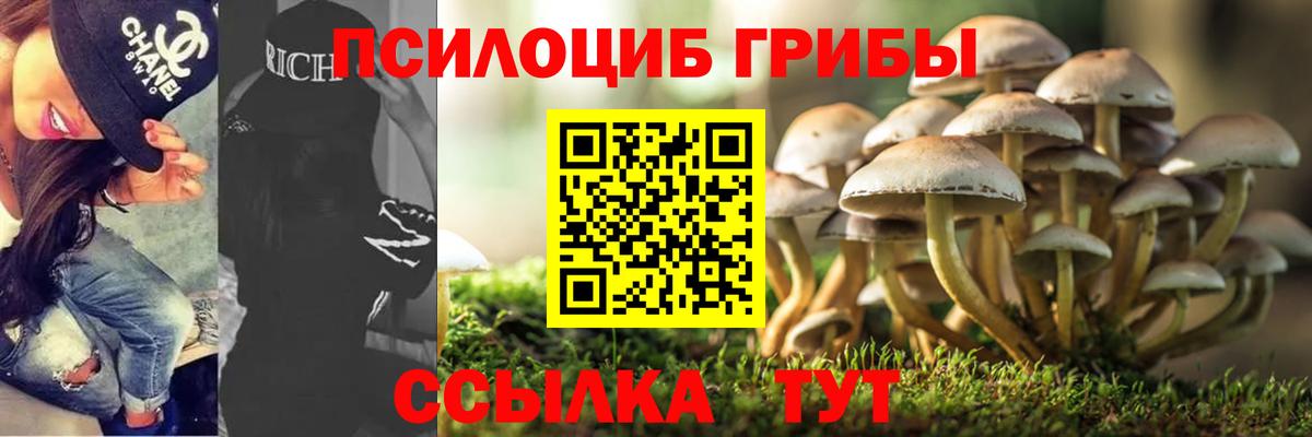 Северск  Псилоцибиновые грибы MAGIC MUSHROOMS  Вход с VPN 